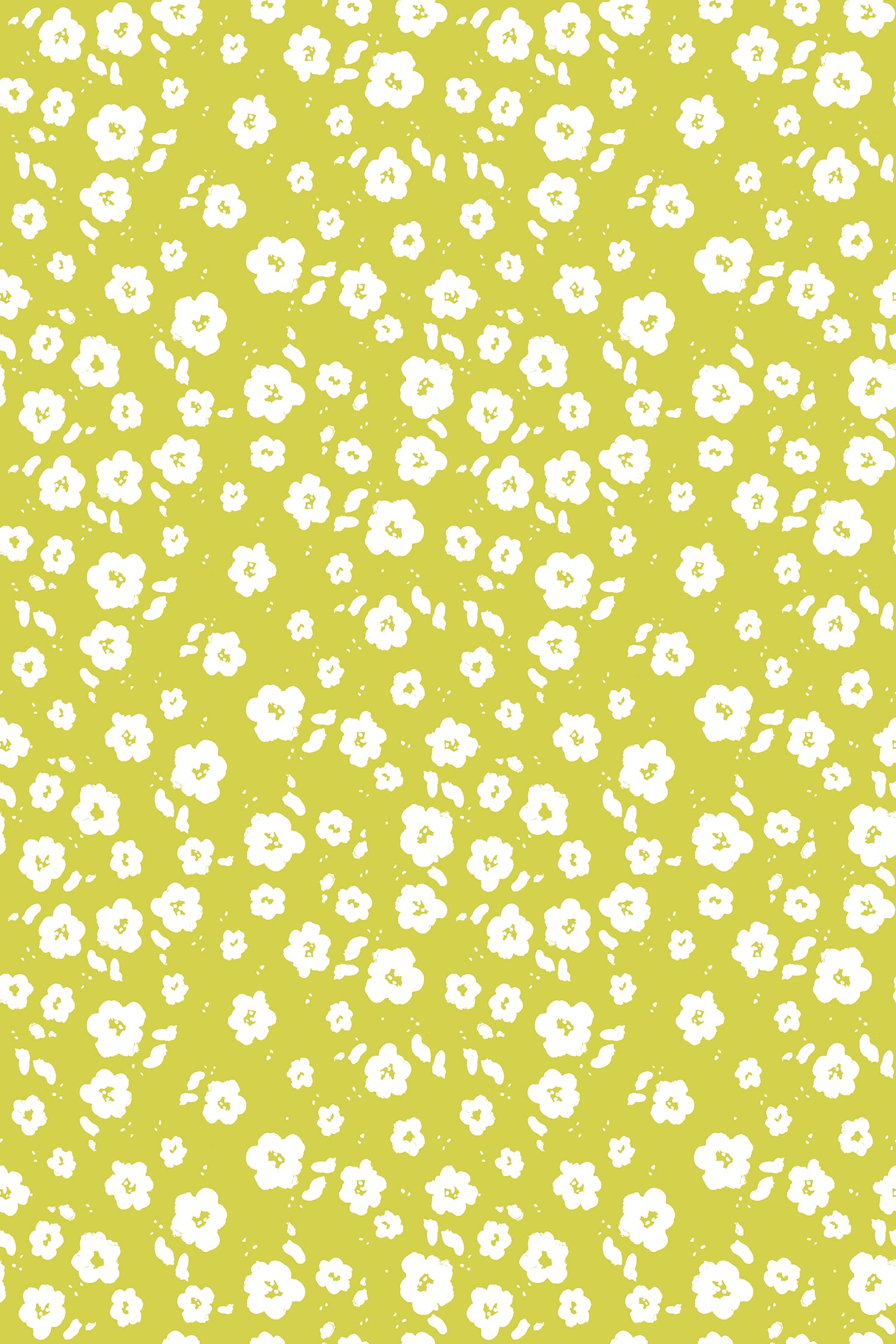 Poppy - Wallpaper