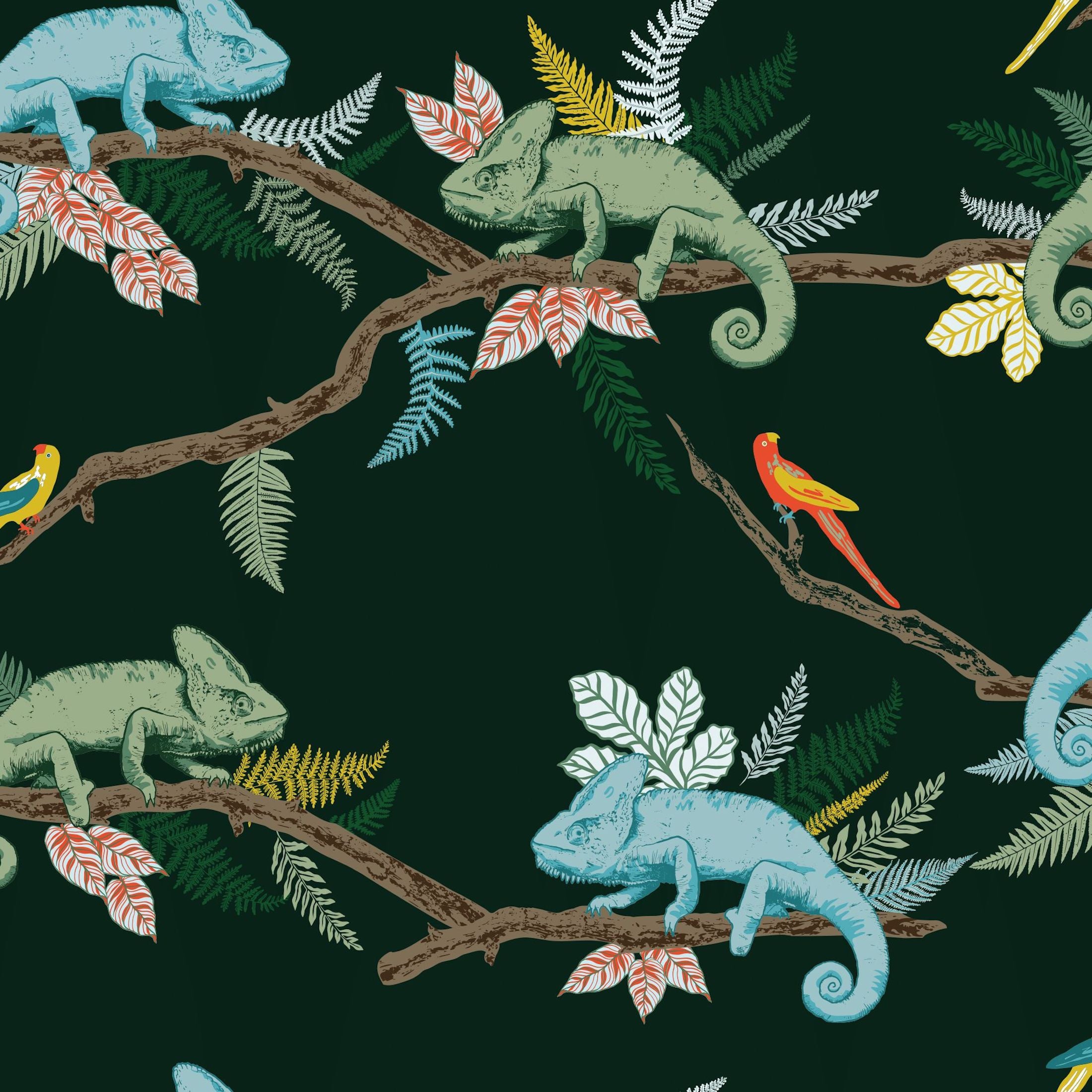Chameleon - Wallpaper