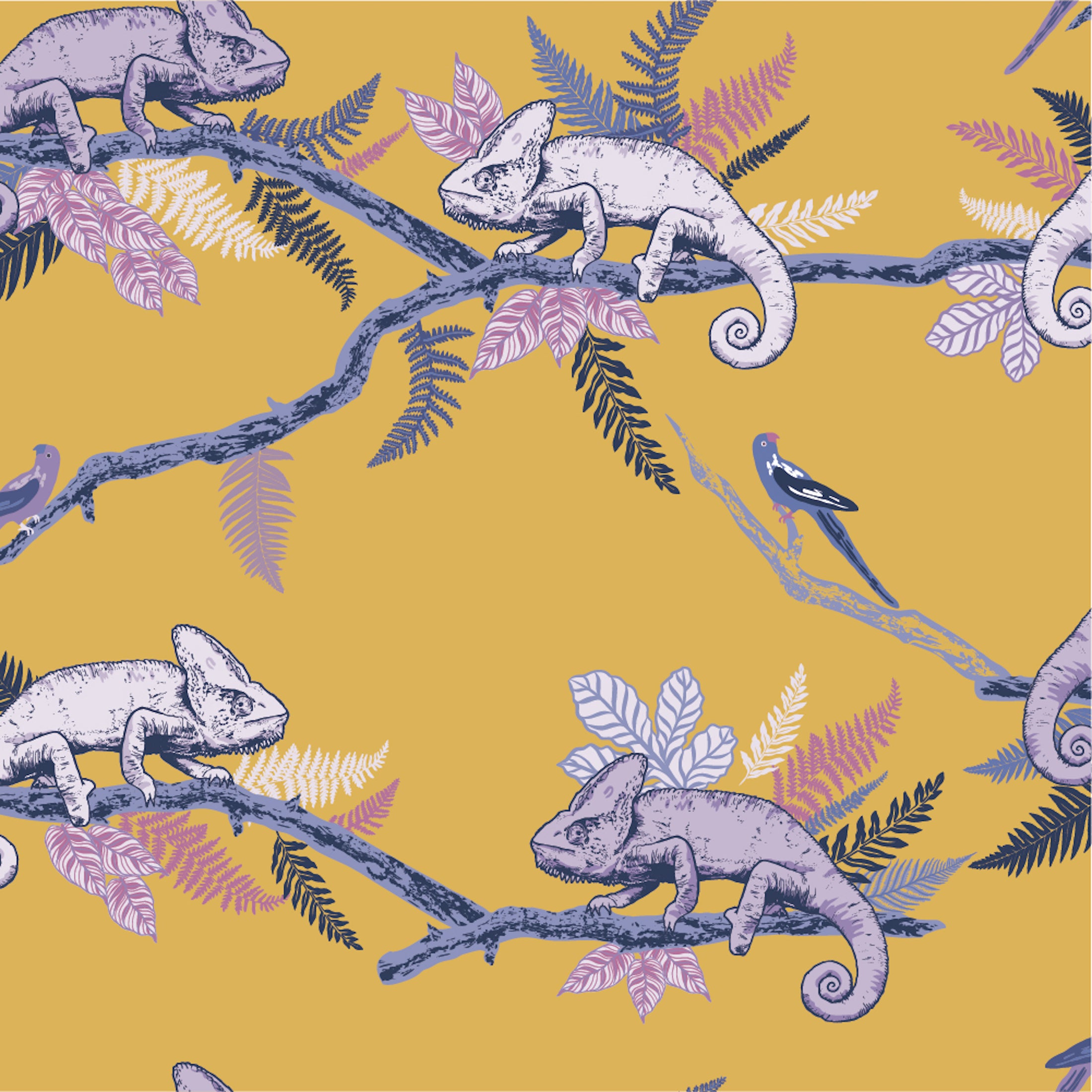 Chameleon - Wallpaper