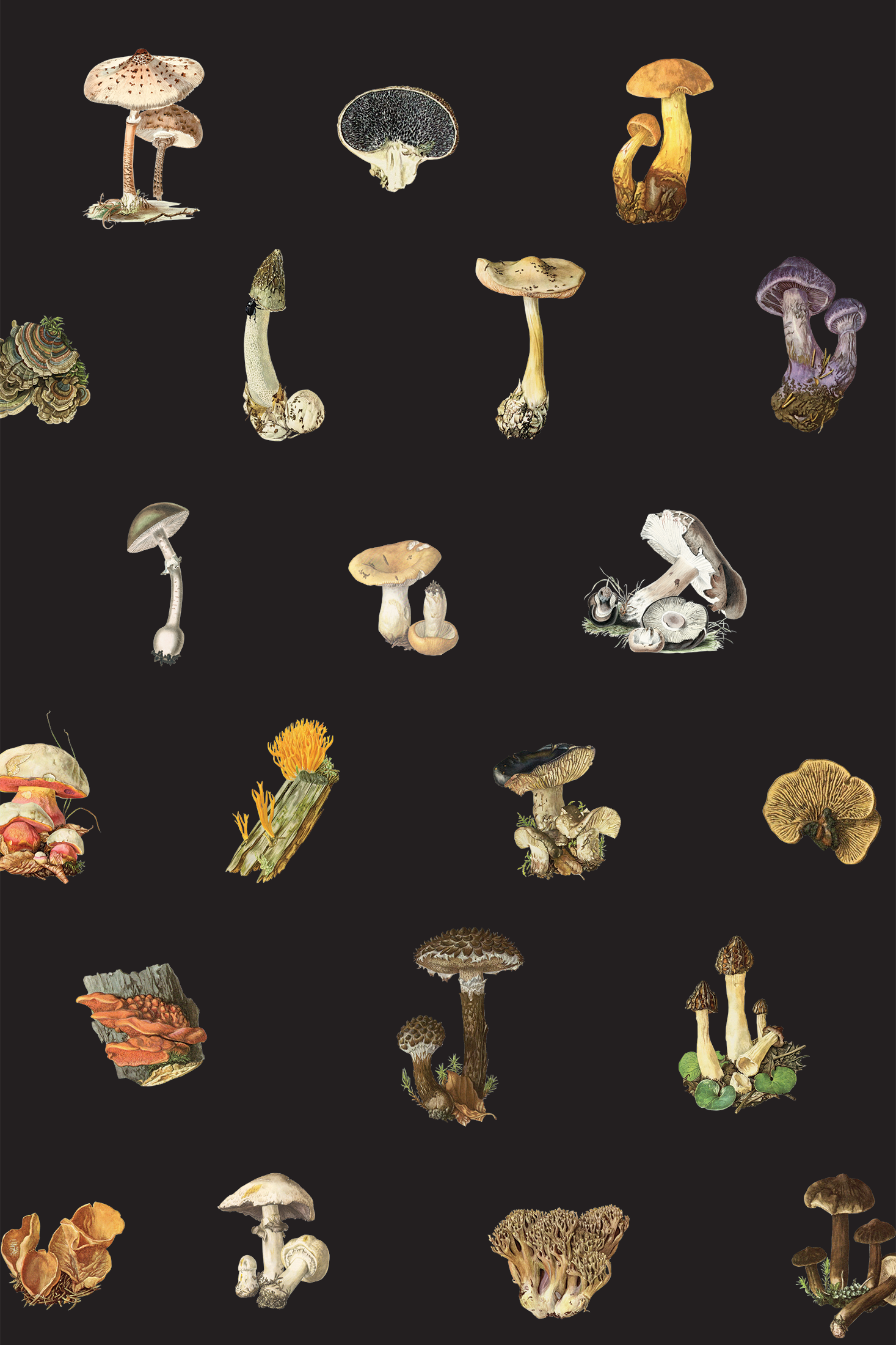 Magic Mushrooms- Wallpaper