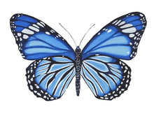 Load image into Gallery viewer, Butterfly
